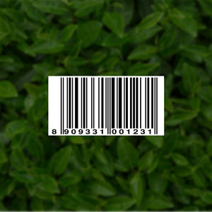 Thé noir Pansari Premium Assam Raw Health 1Kg, thé noir fort en vrac en boîte pour le chai au lait - Product Image 5