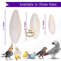 2 PIÈCES PAR BOÎTE PAR COULEUR – OS DE SEICHES BIO SÉCHÉS AU SOLEIL – SUPPLÉMENTS DE CALCIUM POUR REPTILES/ETIQUETTES – ALIMENTATION POUR ANIMAUX DOMESTIQUES FABRIQUÉ AU VIETNAM