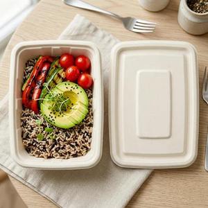 Super Quality Modern Pulp Moulded Disposable 750ml Rectangular <b>Container</b> OEM ODM Made in India Sustainable Food - Product Image 2