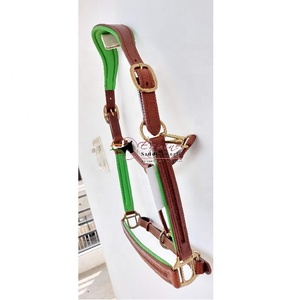 Meilleure vente Collier tête de cheval de qualité supérieure en cuir vert avec rembourrage vert Quincaillerie dorée Canal vide Nez Pièce joue - Product Image 5
