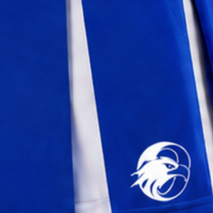 Jupe plissée bleu roi pour femmes, taille haute, uniforme d'équipe athlétique, performance de danse, entraînement, compétition - Product Image 6