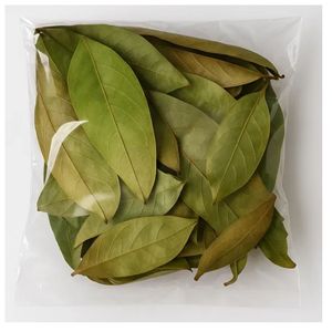 Thé de corossol en vrac naturel, feuilles séchées, approvisionnement en gros - Product Image 4