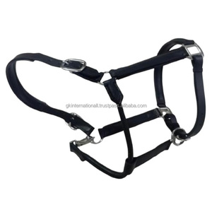 Licol pour cheval en cuir épais double épaisseur et produits équestres pour courses de chevaux avec accessoires en laiton réglables - Product Image 5