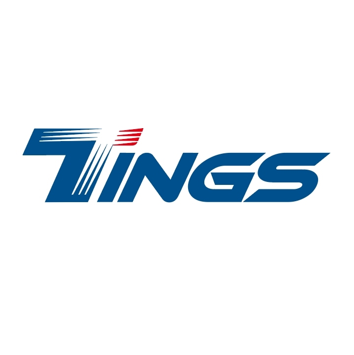 TAIWAN THE TINGS INTERNATIONAL LTD. logo