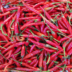 Piment rouge entier indien 100% pur de qualité supérieure avec une durée de conservation de 24 mois pour les usines de transformation et de production commerciales - Product Image 5