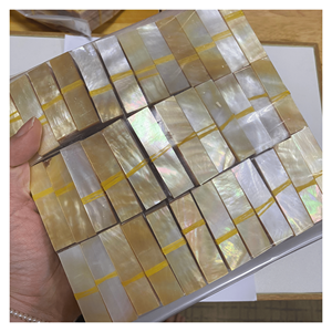 Pièces de nacre du Vietnam, coquillages de qualité supérieure pour la fabrication de bijoux, la décoration intérieure et le marché d'exportation - Product Image 2