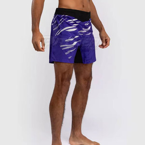 Shorts MMA avancés, coupe flexible, respirants, pour l'entraînement en combat, les séances de gym et les performances professionnelles en arts martiaux - Product Image 5