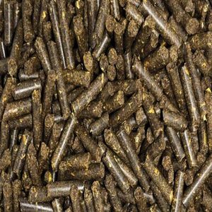 Farine de colza de qualité supérieure, de qualité premium, en provenance de Thaïlande - Utilisations multiples disponibles à la vente - Product Image 1