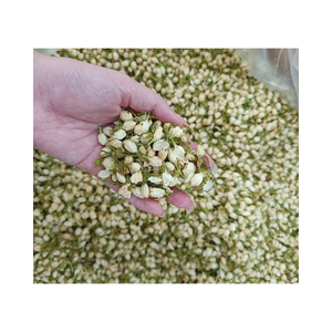 Wholesale Dried Jasmine Loose Leaf <b>Tea</b> Fragrant Jasmine Buds Natural Floral <b>Tea</b> Bulk Supply For Importers And Wholesalers - Product Image 5