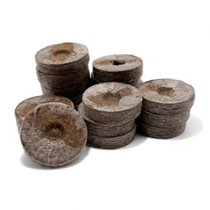 Semillas de musgo de Coco para guardería, precio barato, venta al por mayor - Product Image 1