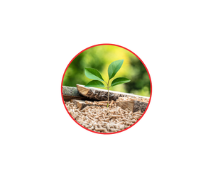 Chaudière à biomasse compacte et peu encombrante, conception CFB, générateur de vapeur haute performance, marque DIVI - Product Image 2