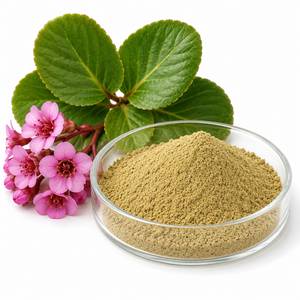 Fournisseur en gros d'ingrédients à base de plantes : Poudre d'extrait de Bergenia Ligulata, Matière botanique de qualité supérieure pour compléments alimentaires - Product Image 4
