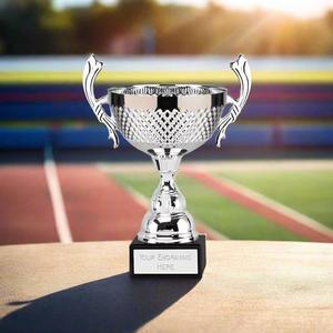 Trofeo Deportivo de Metal Personalizado de Alta Demanda para Ceremonias de Premiación Empresarial, Disponible para Suministro Mundial - Product Image 4