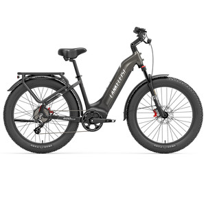 Bicicleta Eléctrica de Montaña Potente de 1000W, Batería de Litio de 48V 20Ah, Neumático Grueso de 26x4 Pulgadas, E-MTB, Freno Hidráulico Impermeable - Product Image 1