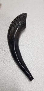 Shofar Pulido Hecho a Mano al por Mayor, Cuerno de Carnero Natural Genuino, Artesanía de la India, Shofar en Venta de la India por CRAFTING CRAFTS - Product Image 2