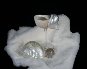 Gobelet en coquillage naturel fait à la main à partir de 99 données d'or Vietnam haute qualité en gros meilleur prix - Product Image 3