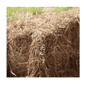 Alimento para animales de heno de paja de trigo picado seco de grado superior en forma de bolsa embalada para cerdo, ganado, caballo, camello, pez, perro, pájaro, oveja, vaca - Product Image 1