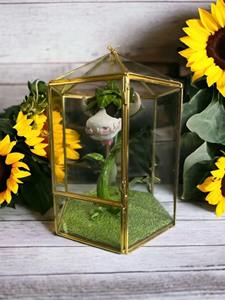Decorative Glass Terrarium Tabletop Garden Display Perfect For <b>Study</b> Table Setup And Creative Work <b>Desk</b> Styling From India - Product Image 2