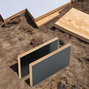 Contrachapado Fenólico de Alta Calidad y Ecológico de 12/15/18/21 mm, Negro/Marrón, Recubierto con Película, E1, Melamina, Construcción A2 - Product Image 5