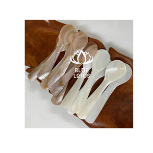 FAST SELLING Safe Clean <b>Eco</b> Mother Of Pearl Spoon 2026 Pure Shell Utensil Best For Caviar Serving And <b>Egg</b> Serving Direct Price - Product Image 1