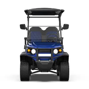 Novo modelo de carrinho de passeio com 2 + 2 lugares, carrinho elétrico de caça para carrinho de golfe, estilo F, exclusivo de fábrica