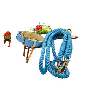 High Quality Green Leather <b>Dog</b> <b>Leash</b> with Rope <b>Leash</b> Set Hound Collar for Greyhound and Whippet <b>Dogs</b> - Product Image 3