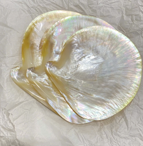 Natural Handmade Mother of Pearl Plate Vietnam Shell Material for Jewelry Tray Serving Decor Polished Use - Product Image 6