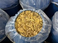 Venta al por mayor de champiñones salados deliciosos enlatados en bidones, champiñones frescos conservados, champiñones blancos a precio de fábrica