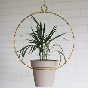 Étagère murale dorée en fer pour plantes, gain de place, idéale pour la culture en appartement (marque privée) - Product Image 1