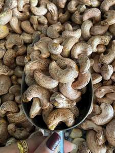 Vietnam Premium Cashew <b>Nuts</b> W320 W240 W180 | Raw & Roasted Cashew <b>Kernels</b> | Factory Wholesale Export - Ms. Tarina - Product Image 2