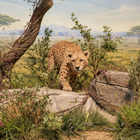 Statue de guépard personnalisée avec texture de peau détaillée, grande simulation en fibre de verre, animal félin pour l'affichage dans les grands halls