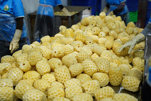 Morceaux d'ananas du Vietnam A10 (1600g) - Product Image 2