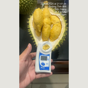 Durian Fresco, Fruta Tropical Entera, Natural, Amarilla, 1.8-2.5 kg, Grado B, Listo para Comer, Sabor Intenso, de Vietnam - Product Image 1