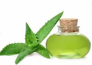 Aceite de Aloe Vera, Aceite Herbal para Hidratación de la Piel, Proveedor al por Mayor, Aceite de Aloe Vera Orgánico para el Cuidado de la Piel, Exportación al por Mayor - Product Image 3