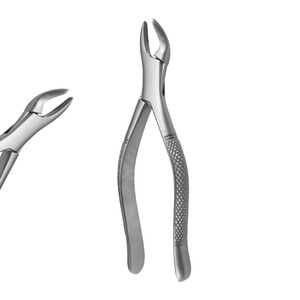 Pinces d'extraction modèle américain Fig. 62 Incisives Premolaires Laitières Qualité allemande Starnderd Instruments chirurgicaux dentaires - Product Image 1