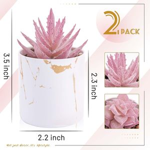Lot de 2 plantes succulentes artificielles roses pour la décoration de la maison et du bureau, accessoires de bureau, verdure pour la maison et le bureau - Product Image 5