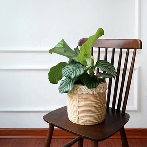 Pots de plantes faits à la main de taille personnalisée en gros meilleur modèle de prix du Vietnam sacs de culture en rotin naturel roulé - Product Image 4