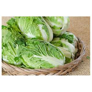 Compra/Pedido en Línea de Verduras Frescas de Primera Calidad: Apio Verde y Repollo con la Mejor Calidad y el Mejor Precio para Exportación - Product Image 6