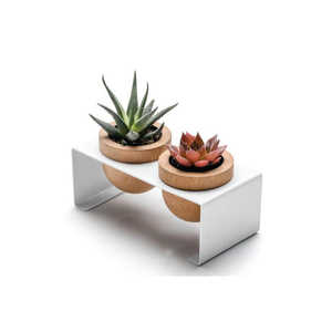 Pots à plantes succulentes modernes en bois, double mini-support pour plantes avec support en métal, décoration minimaliste pour bureau et maison - Product Image 1