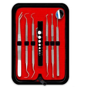 Ensemble d'instruments dentaires professionnels en acier inoxydable de classe I, outils manuels réutilisables, certifiés CE, argentés, ergonomiques, avec coussin de luxe - Product Image 1