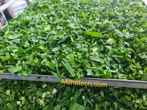 Poudre de feuilles de Pandan en vrac de haute qualité, extrait à base de plantes, qualité alimentaire, du Vietnam - Product Image 5