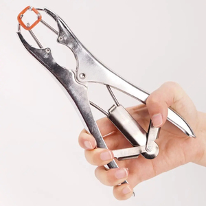 Pince d'expansion pour agneaux sans sang, dilatateur buccal en acier inoxydable, forceps de castration pour porcelets, anneaux de castration pratiques et durables pour queues de porcs - Product Image 6