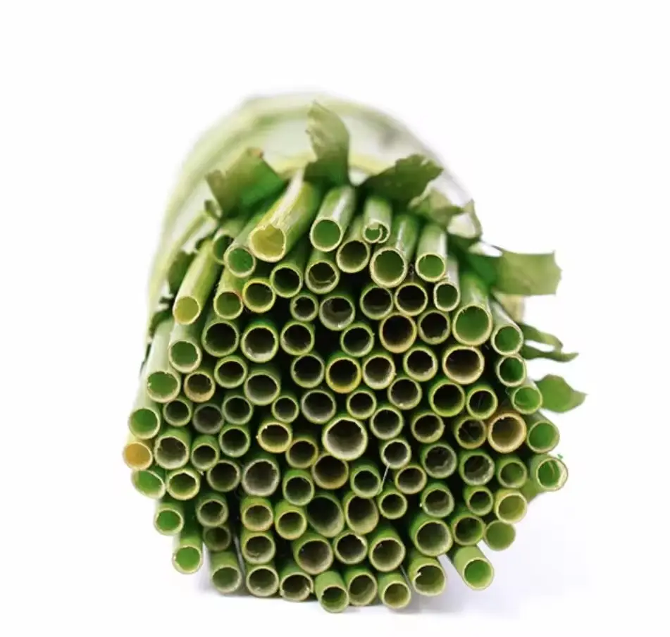 Grass Straws Unleashed: The Eco-Friendly Alternative to Plastic //MARY