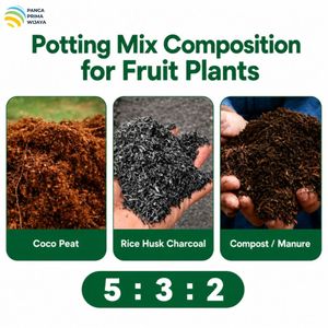 Bloc de tourbe de coco de haute qualité 5 kg, faible EC, coco compressé, substrat de culture 50L pour pépinière, jardin, hydroponie - Product Image 4