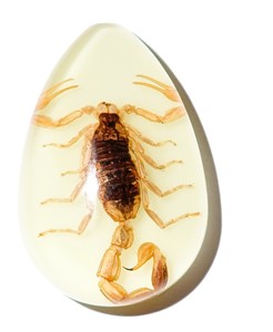 Golden Scorpion Real Specimen Plastic Cabochon Pear Cut <b>Top</b> 46x30 mm Glow Flat Bottom for Crafts and Jewelry Making - Product Image 2