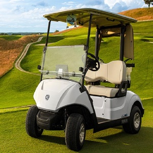 Carrito de Golf Eléctrico Inteligente Edición de Lujo Personalizado con Batería de 48V, Rendimiento Confiable y Presencia Elegante en la Carretera - Product Image 1
