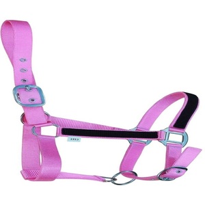 Custom Made Thick Pink Nylon Webbing Lightweight Nylon Horse <b>Halter</b> with Adjustable Stainless Steel Hardware - Product Image 2