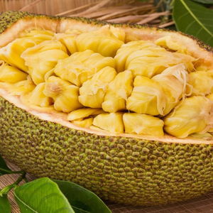 Jacquier séché sain et naturel/100% fruits secs biologiques/collation sucrée et savoureuse en gros - Product Image 4