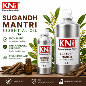 Huile Essentielle 100% Pure de Sugandh Mantri Homalomena aromatica, Vente en Gros, Fabricant et Exportateur Mondial - Product Image 2