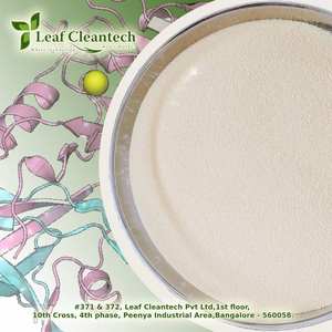 Fungal Alpha Amylase Wholesale High Quality <b>Enzyme</b> Manufacturer for Food & Nutrition Applications From Bangalore, KA, India - Product Image 2